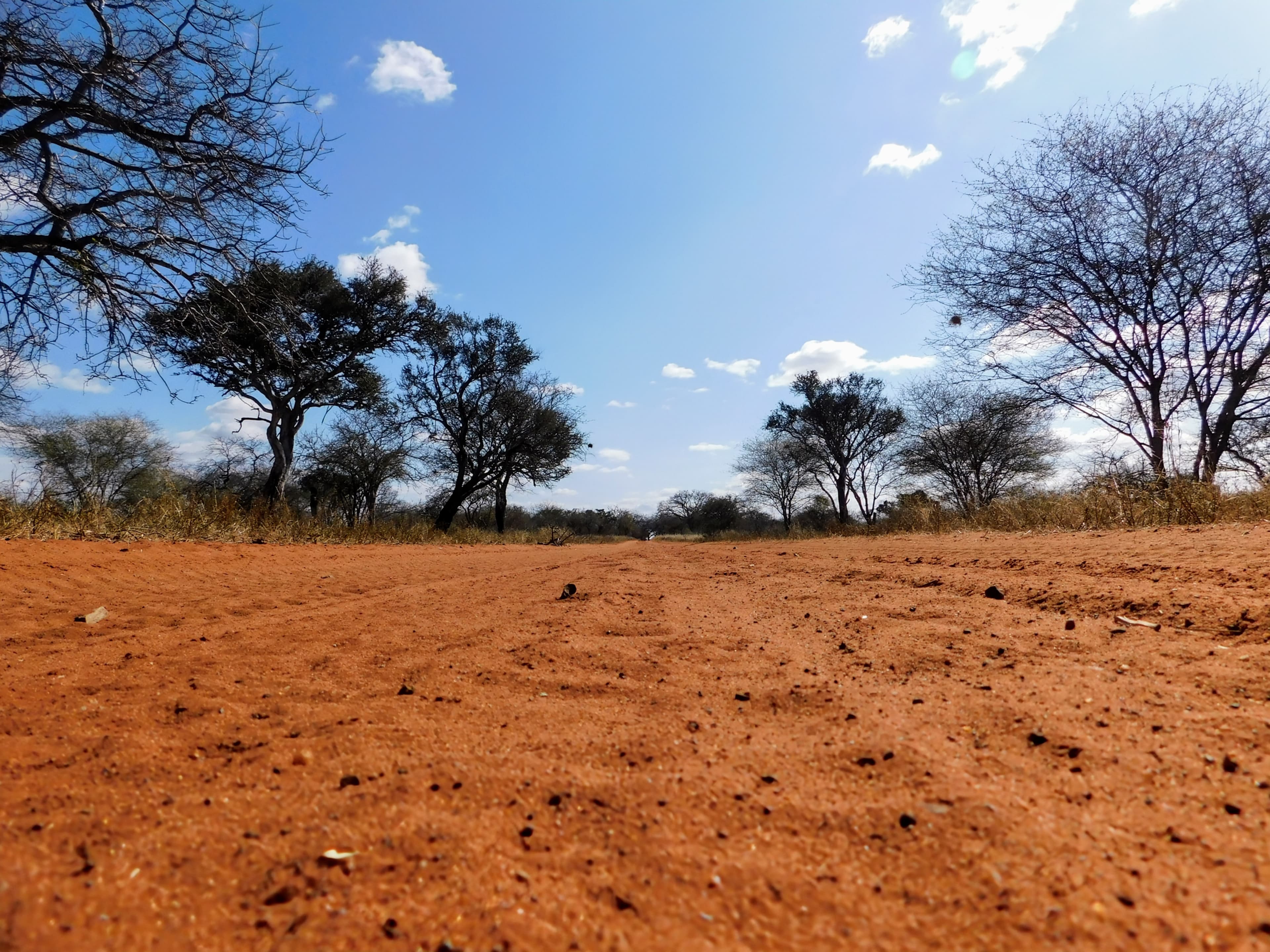 Wildlife at Witgat Safaris