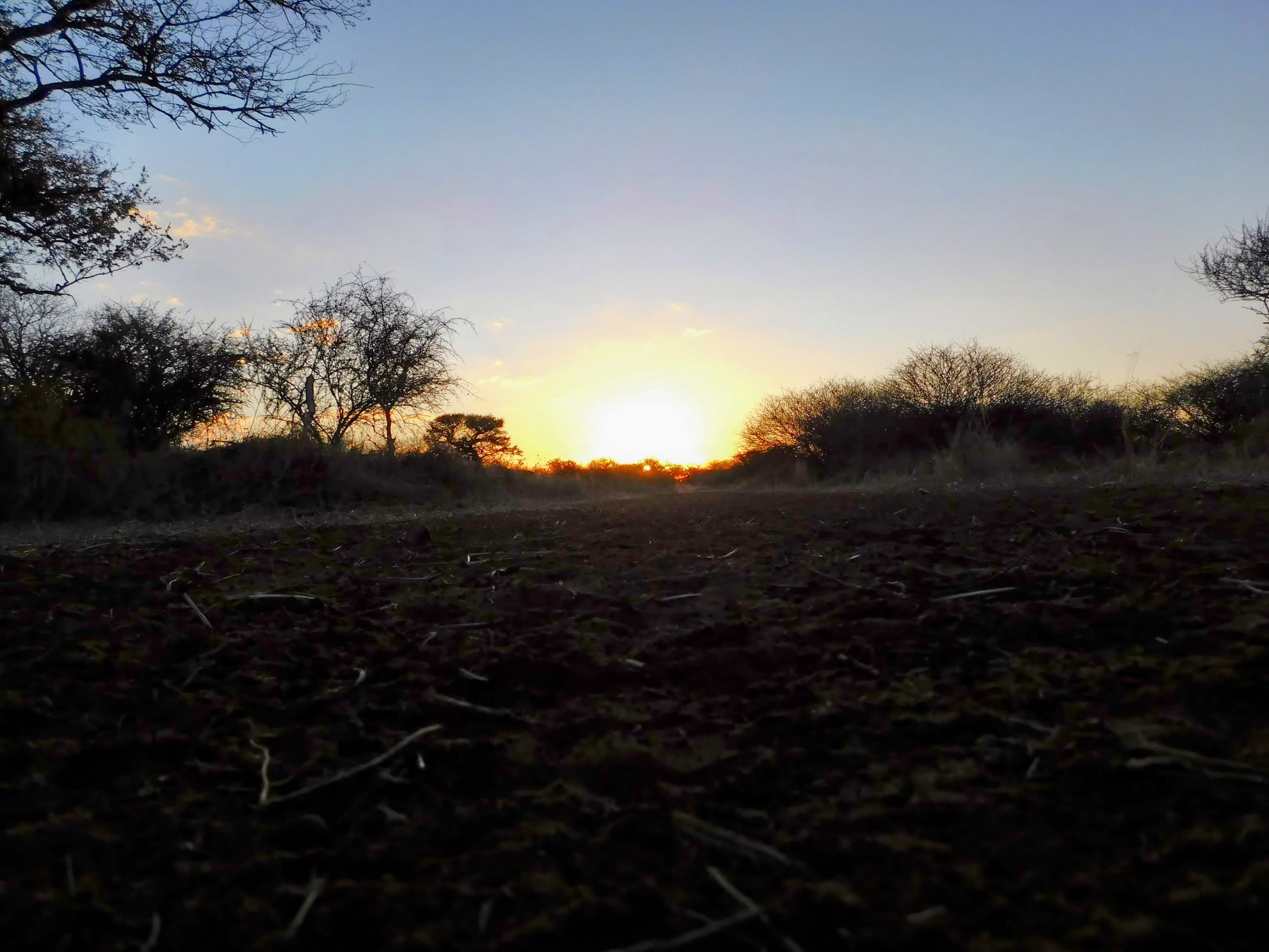 Wildlife at Witgat Safaris