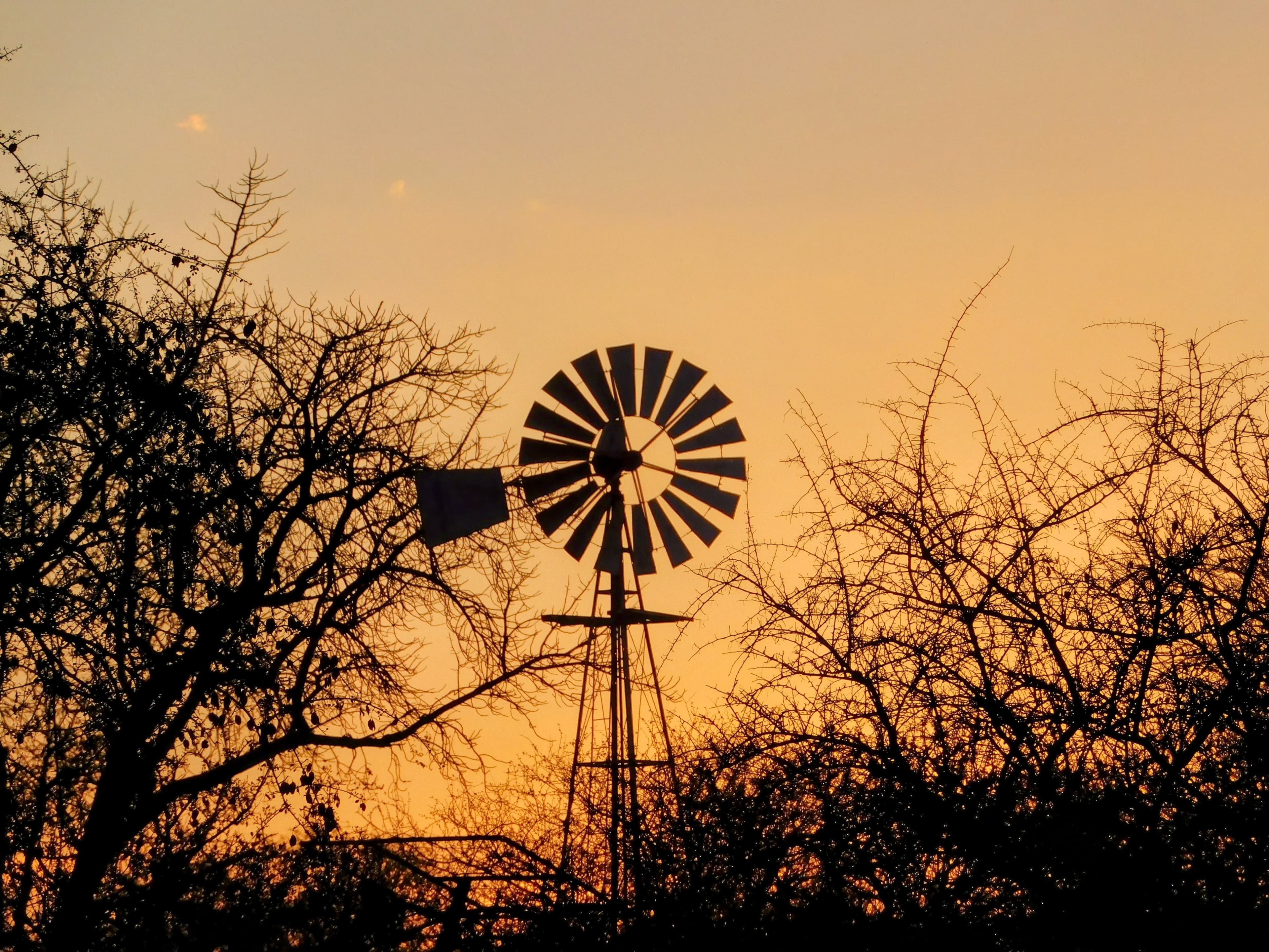 Wildlife at Witgat Safaris