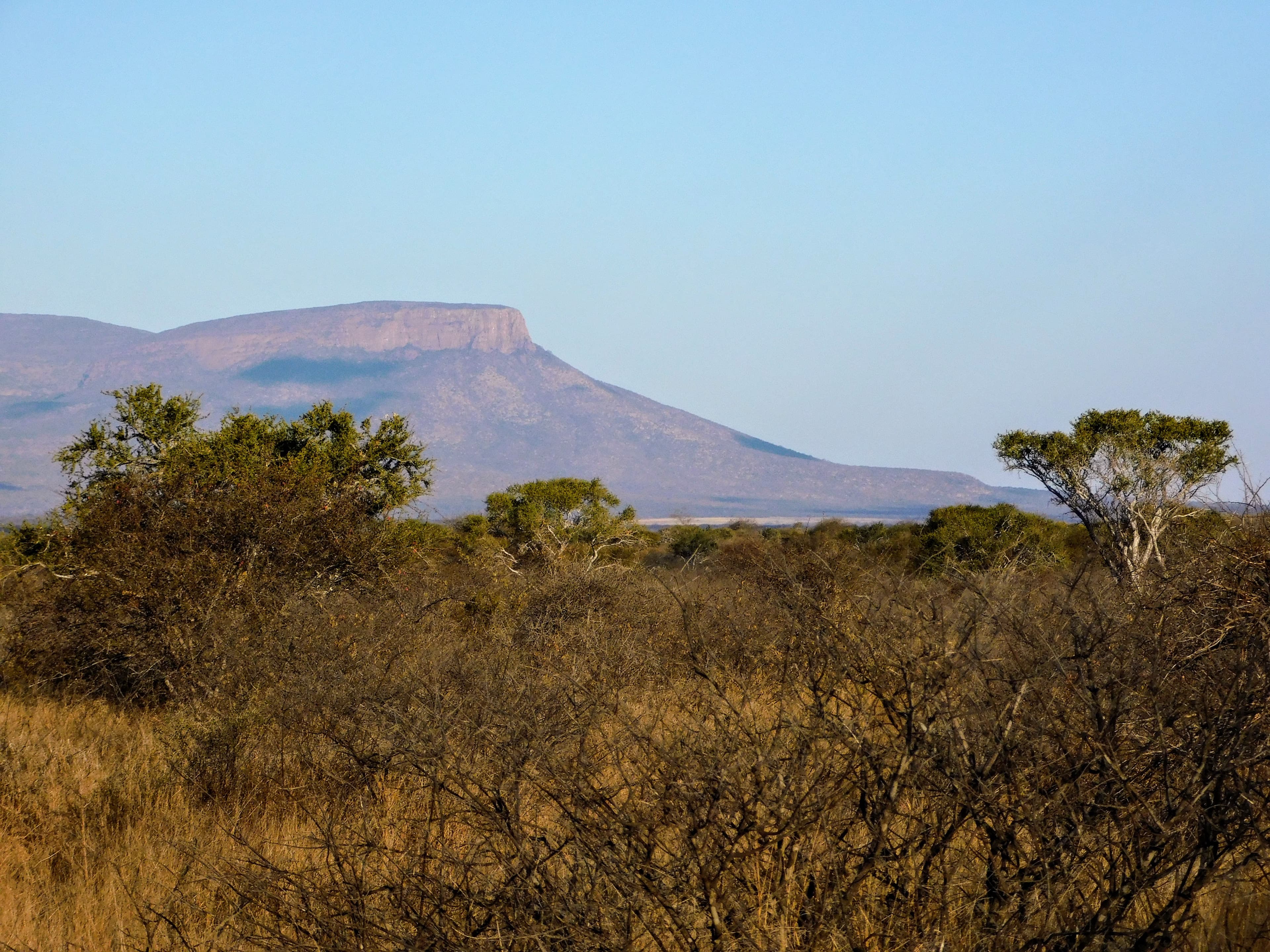 Wildlife at Witgat Safaris