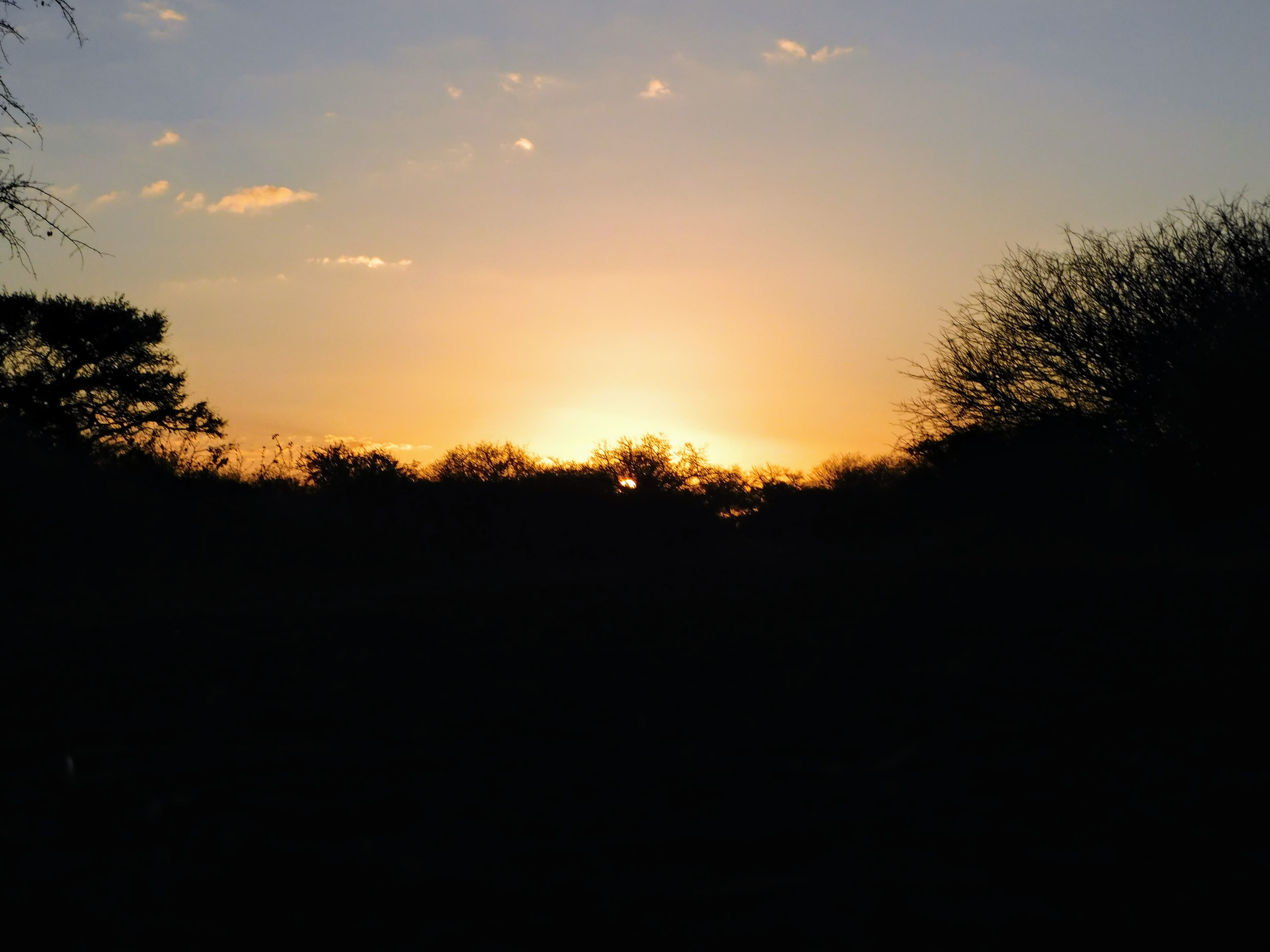 Wildlife at Witgat Safaris