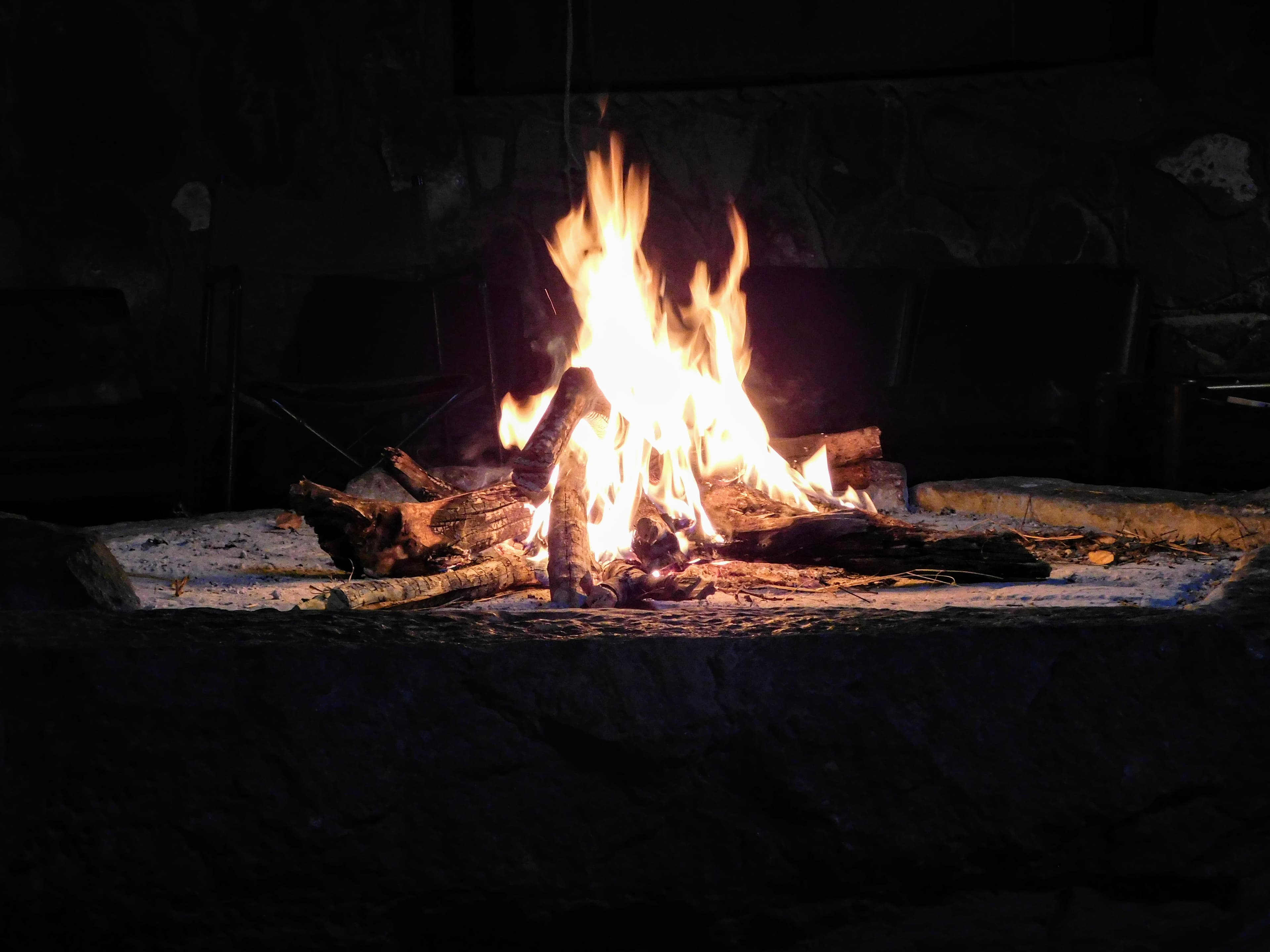 Wildlife at Witgat Safaris