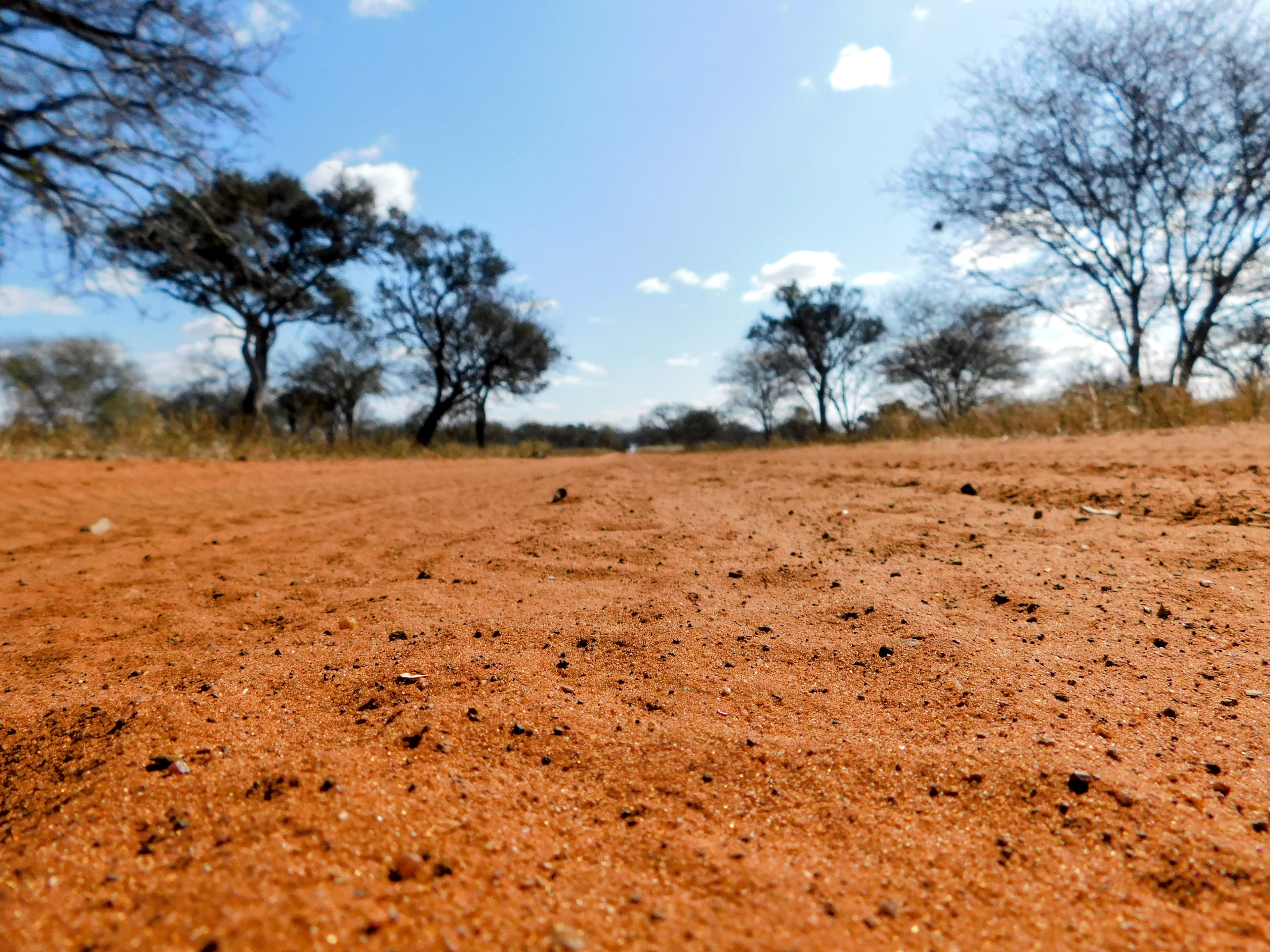 Wildlife at Witgat Safaris