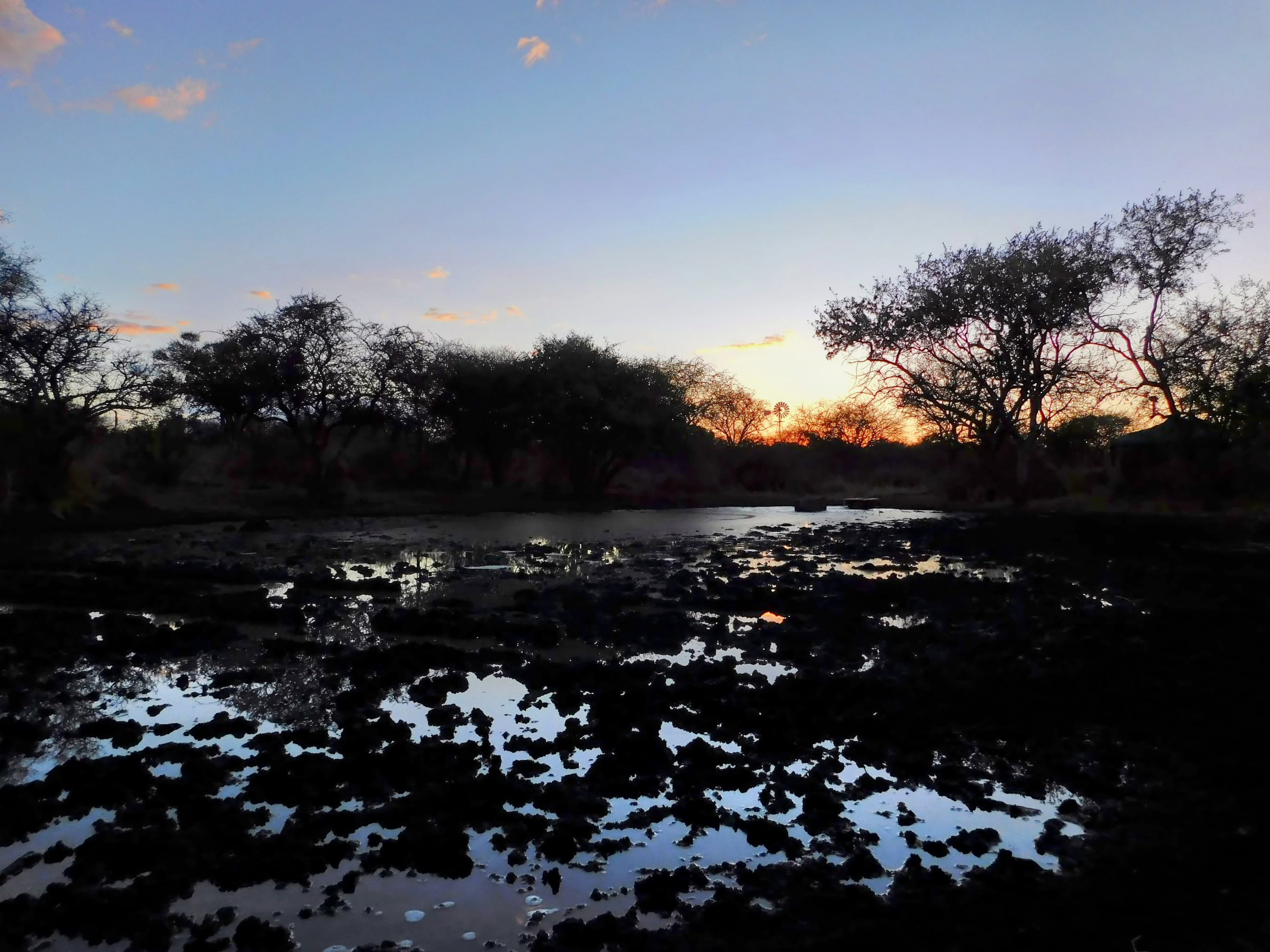 Wildlife at Witgat Safaris