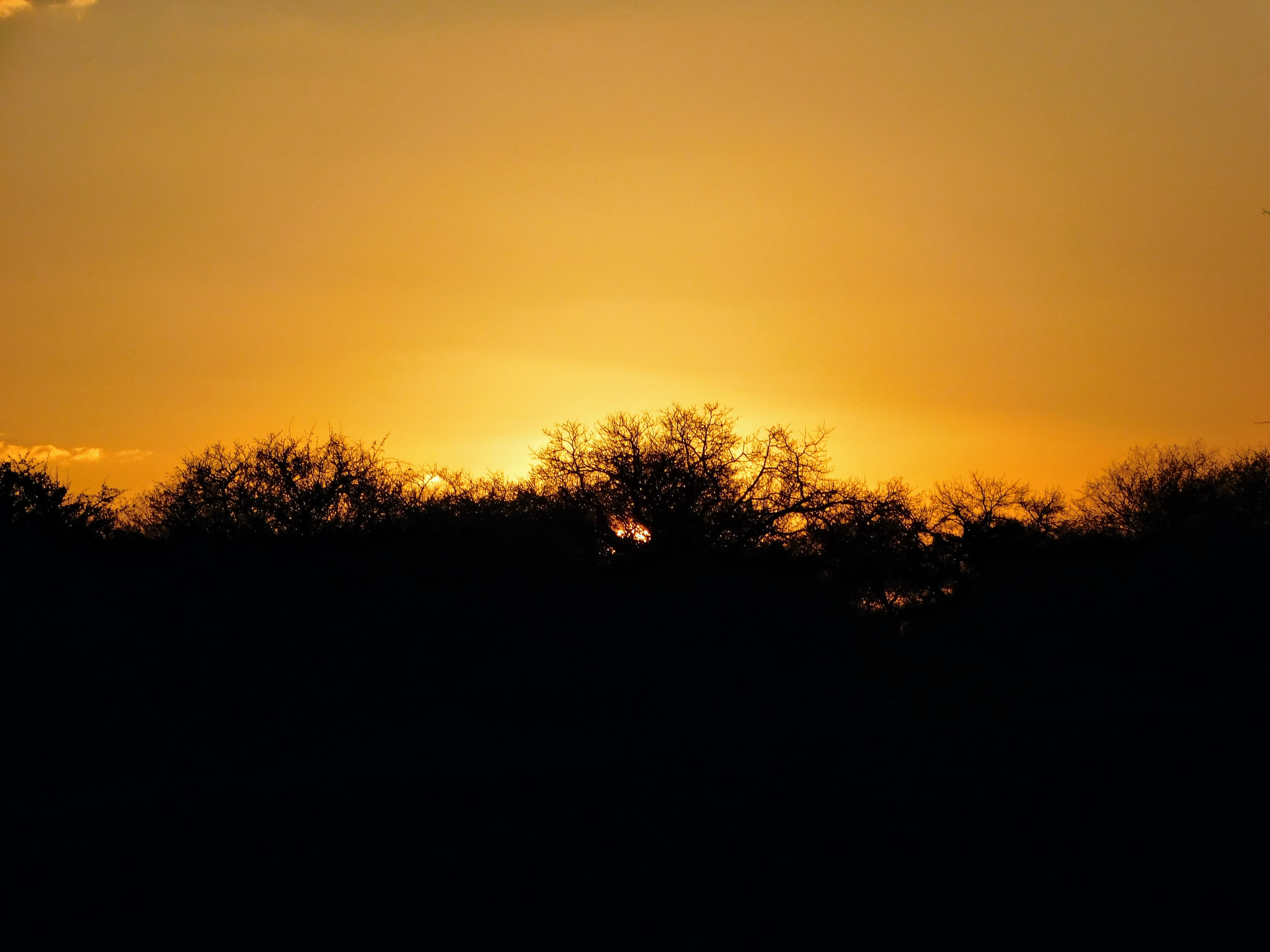 Wildlife at Witgat Safaris